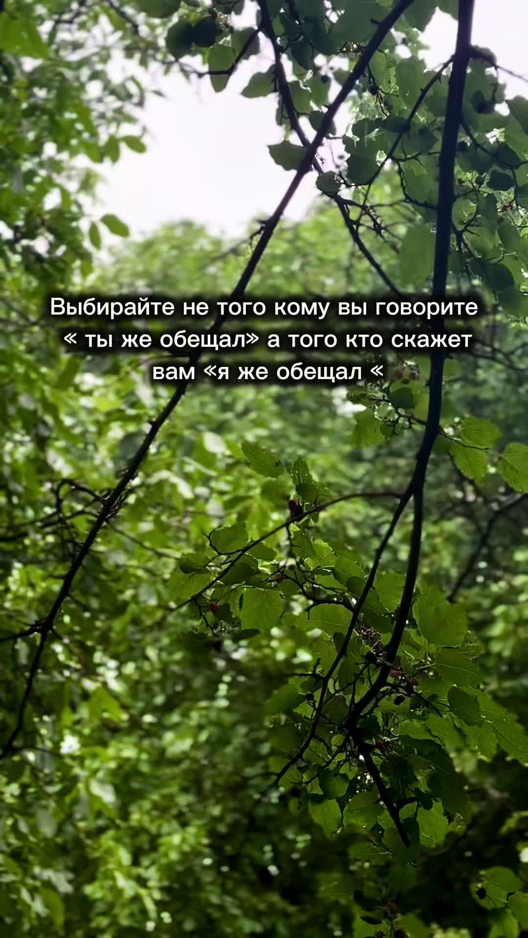 @BusinkA