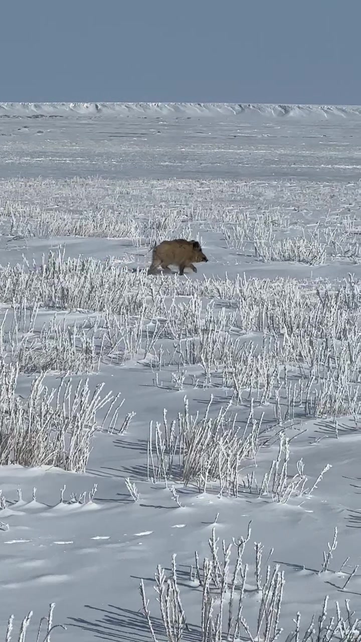 @Нұржан Ардана