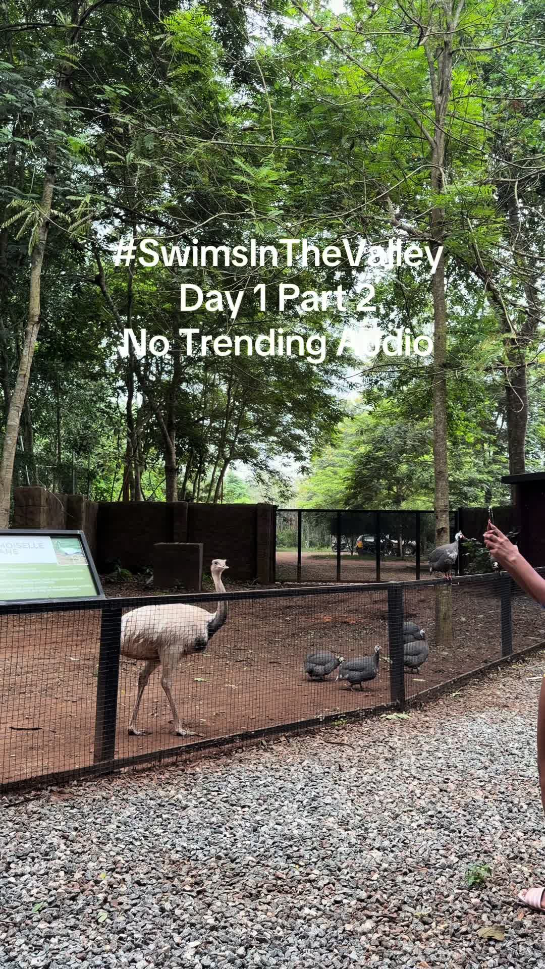 @SwimsbyDidi