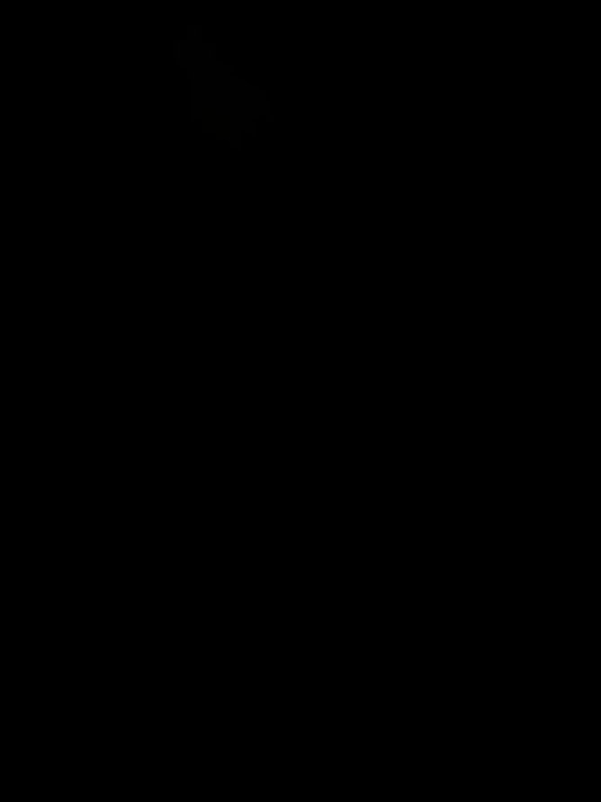 @Elegancia Fotográfica