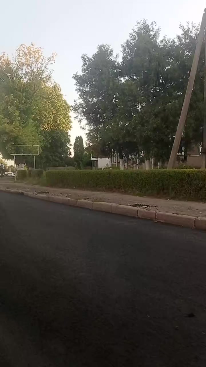 @Olena _1205