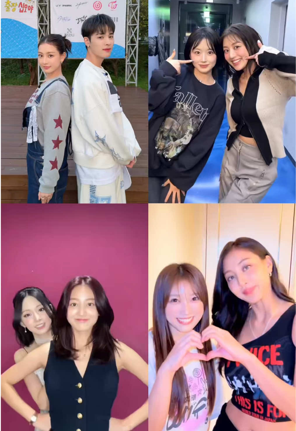 @MOMO