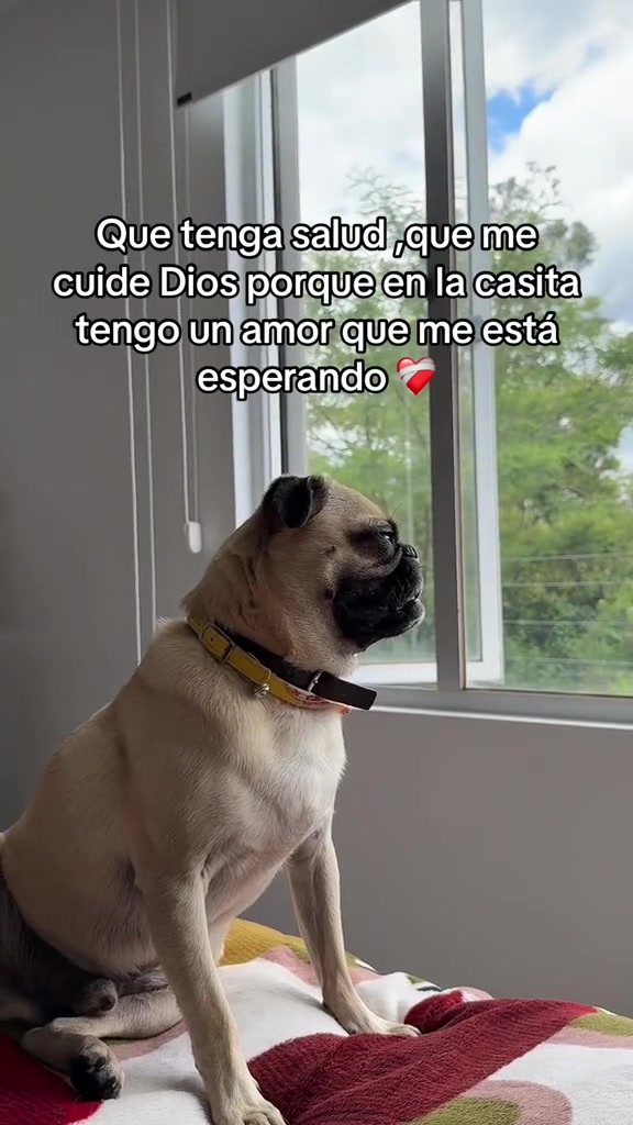 @Alexa&elcarnalchiss