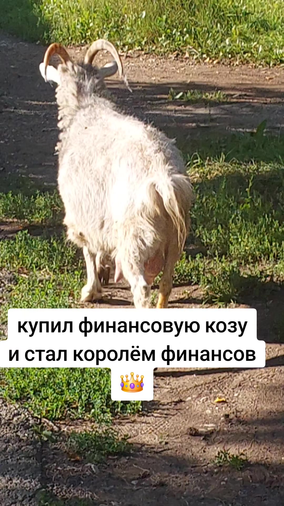 @ARLEKINGOVNOMUSIC