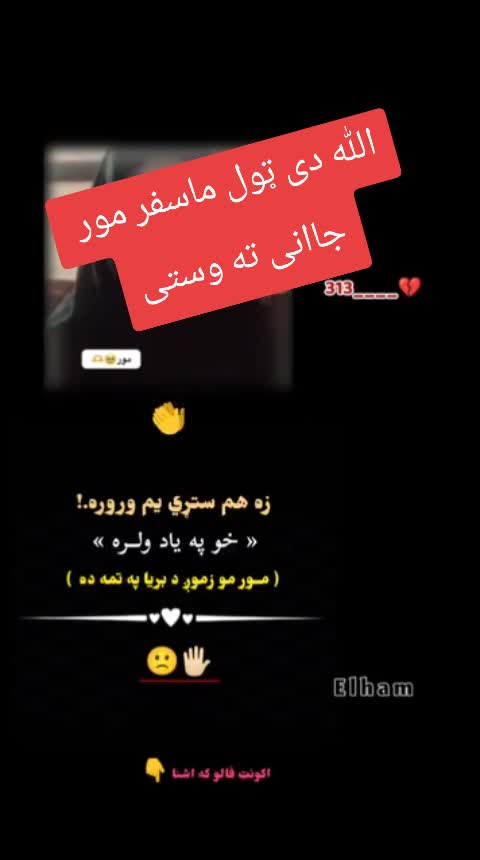 @Arman Phasha