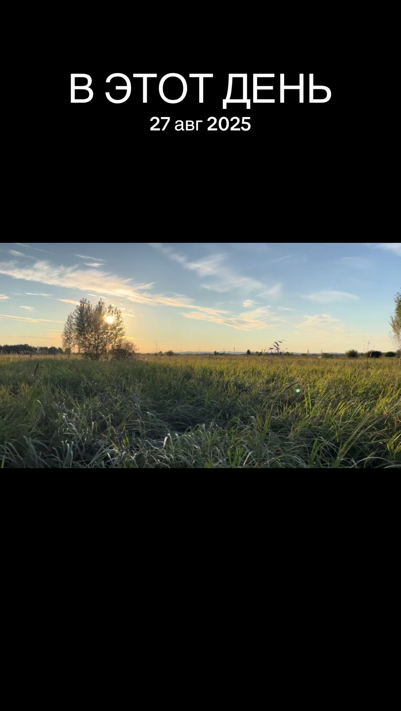 @солеваявишня#LARP
