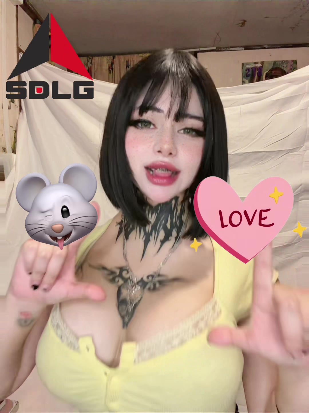 @𝕾𝖔𝖑𝖆𝖓𝖌𝖊🐁