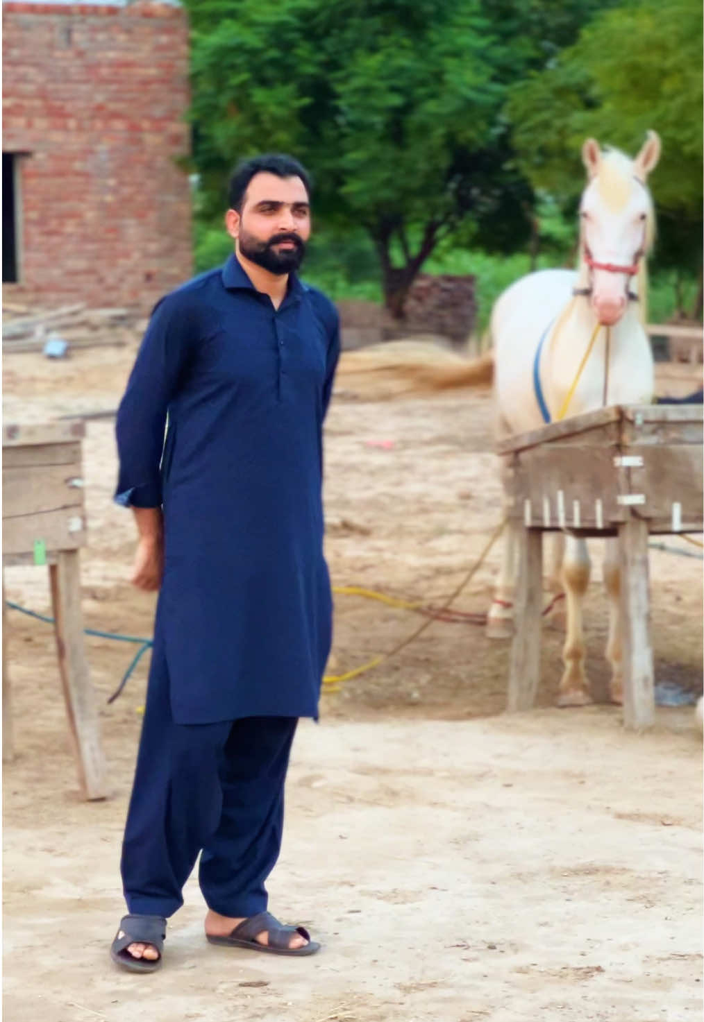 @Taimoor Shah