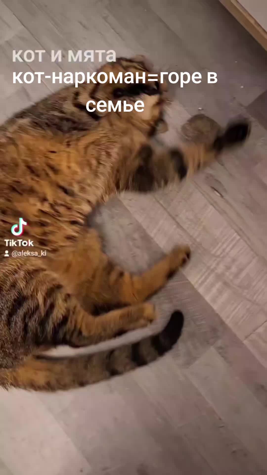 @Amelie_D&uuml;