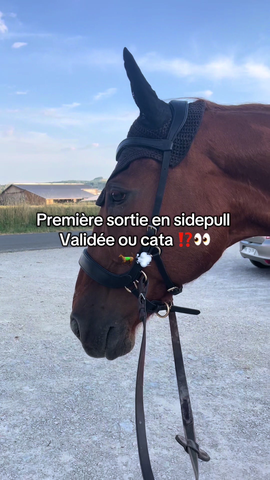 @Rolly&compagnie