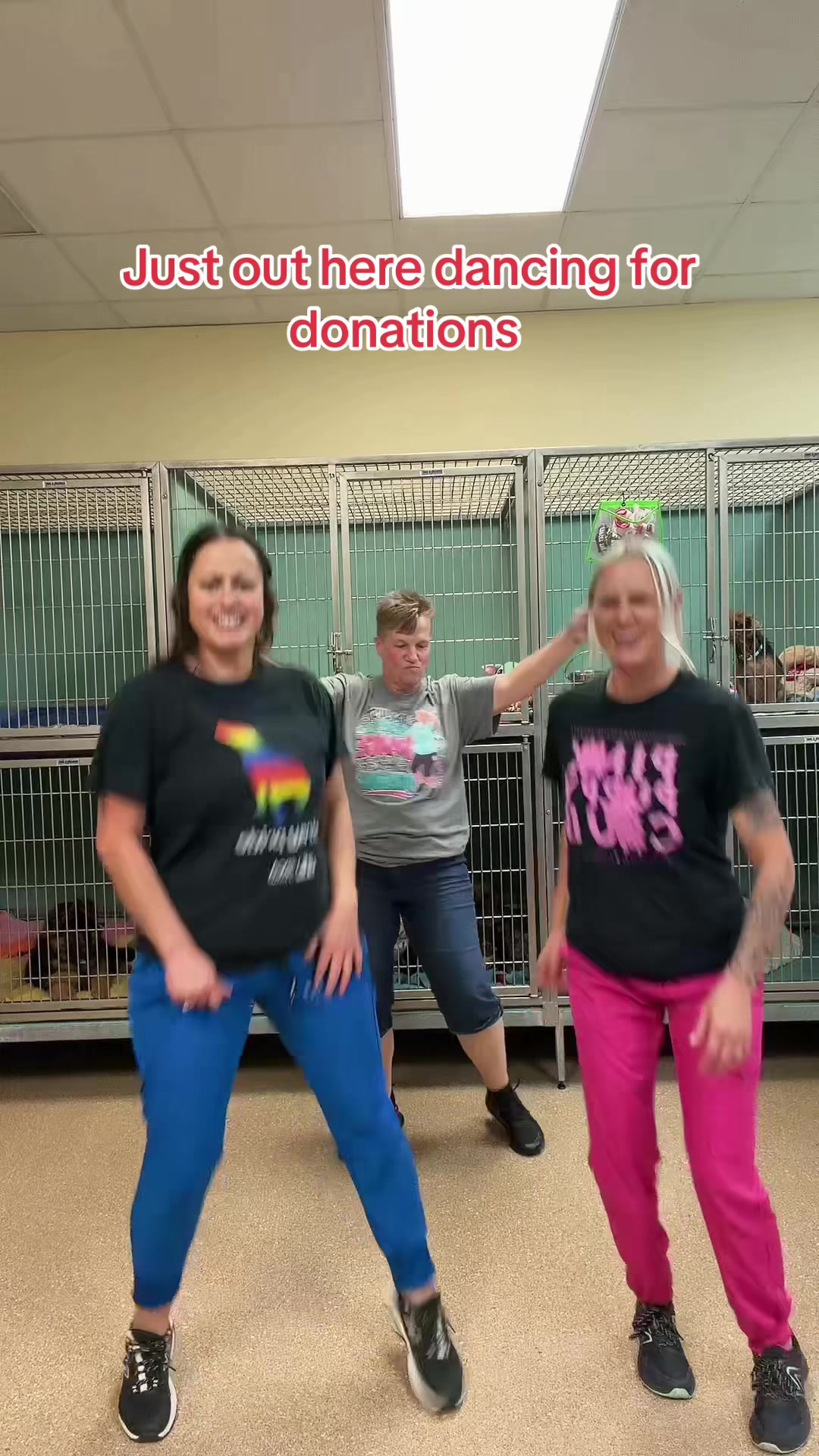 @2vettechs