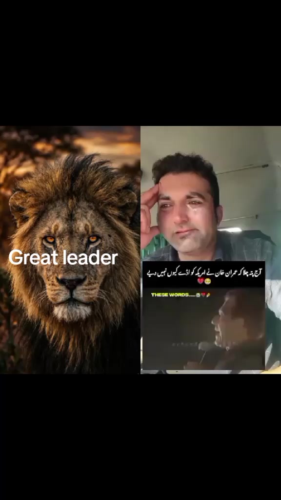 @Great leader 804