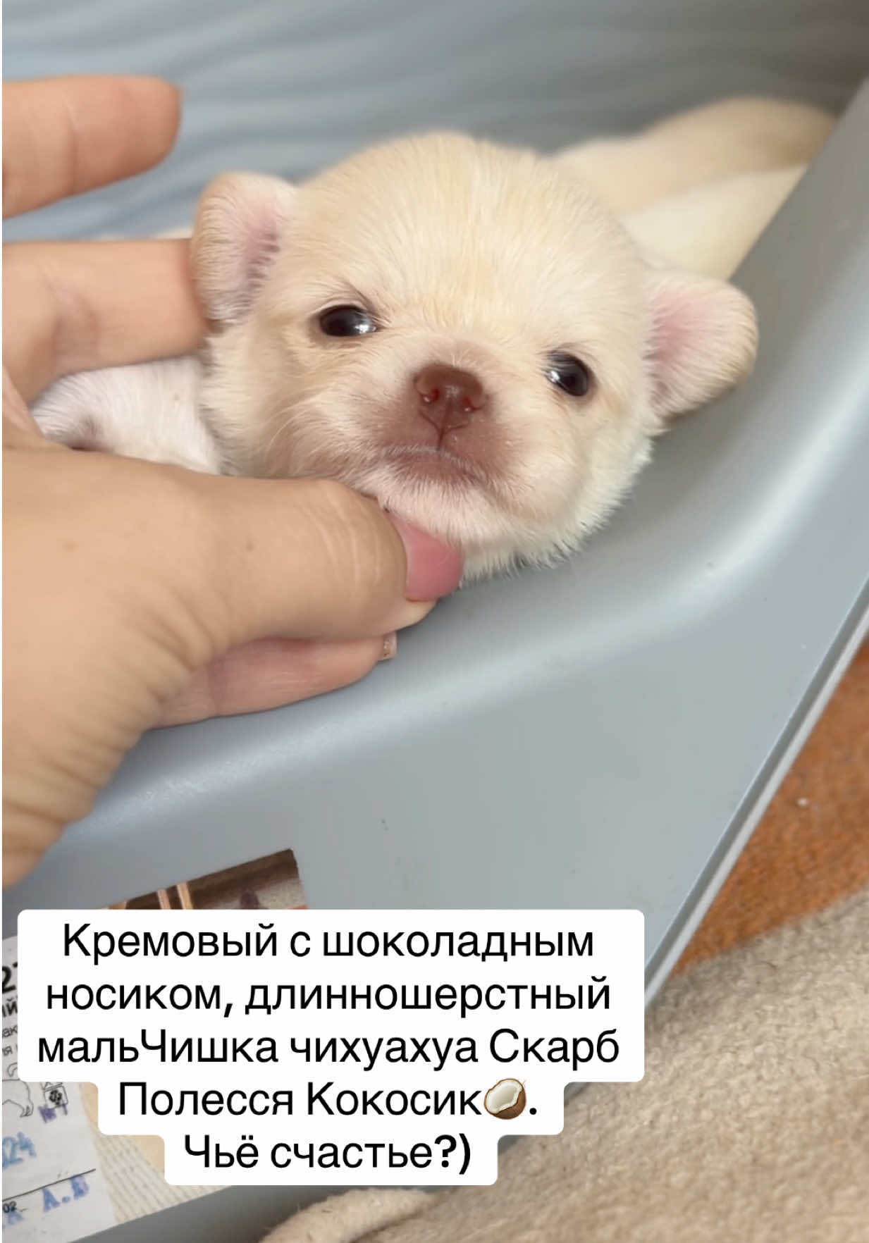 @skarb_palessya