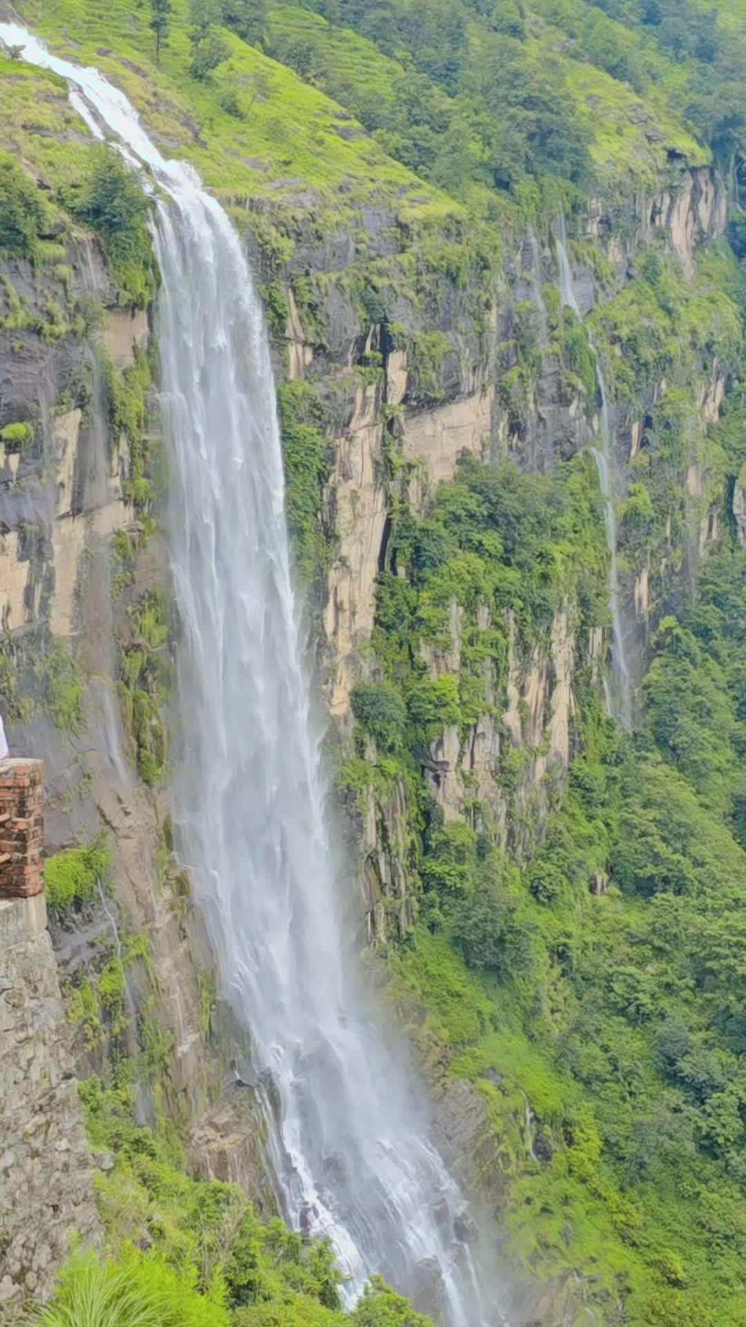 @alokrajneupane224
