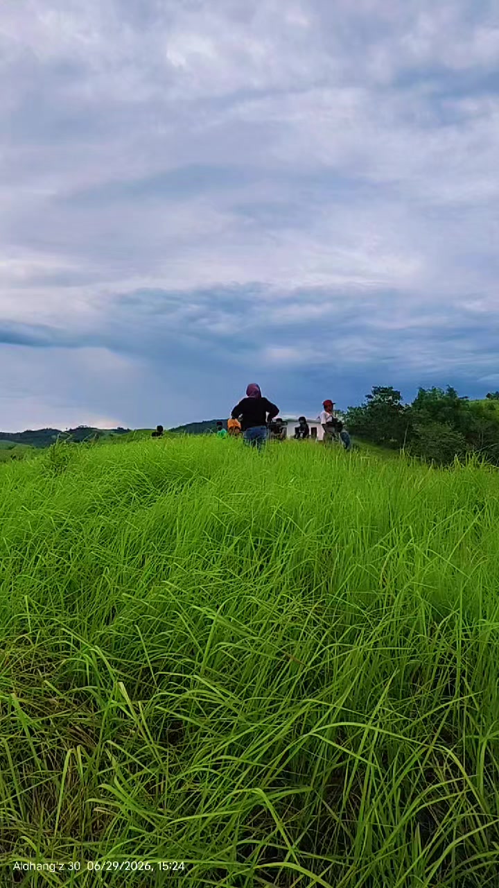 @Aldhangz Sangkulah A