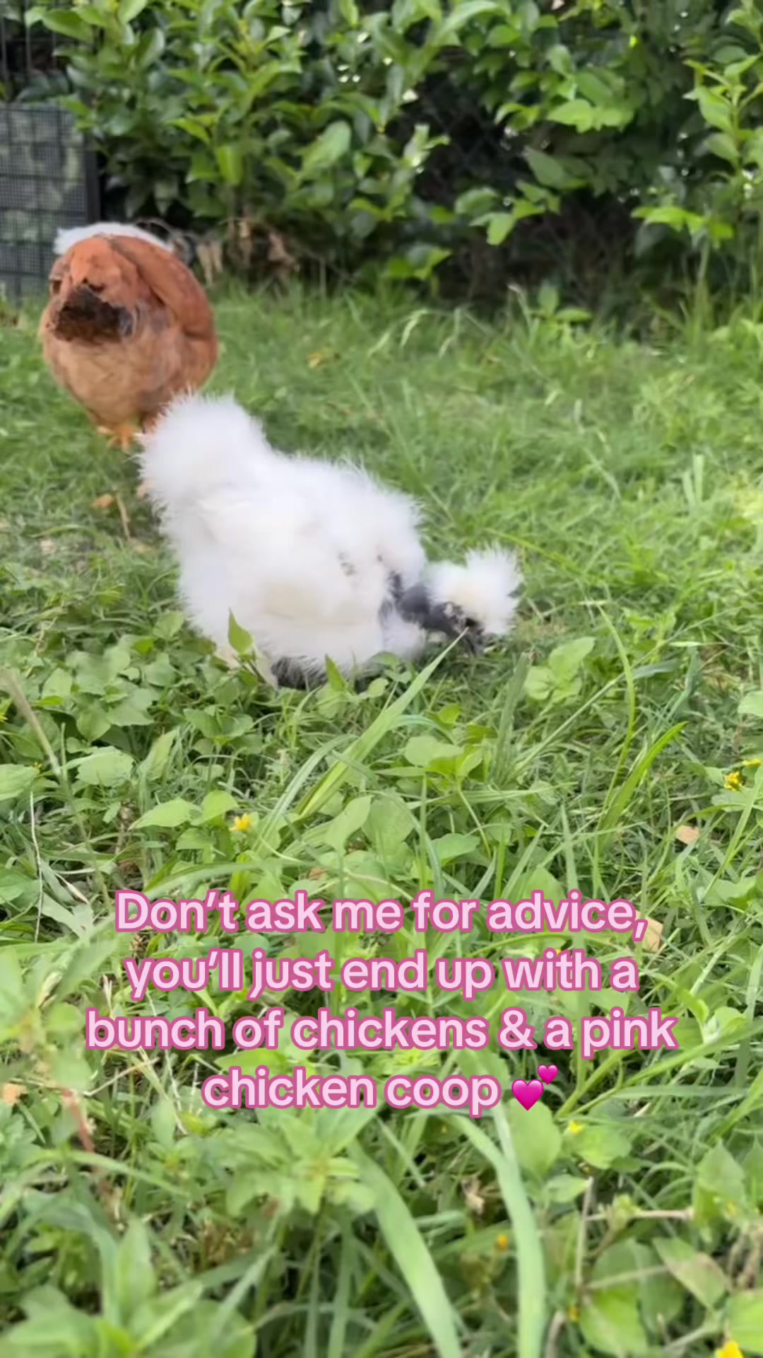 @Sierra🌻