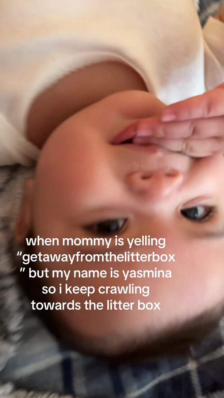 @spooka