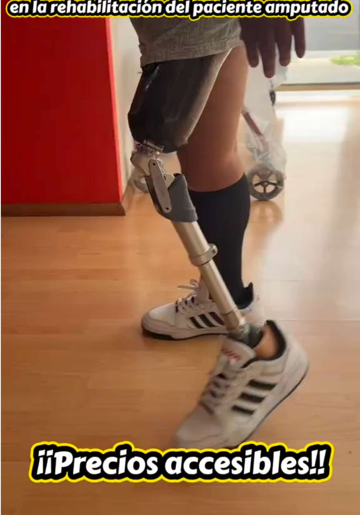 @avicer.net