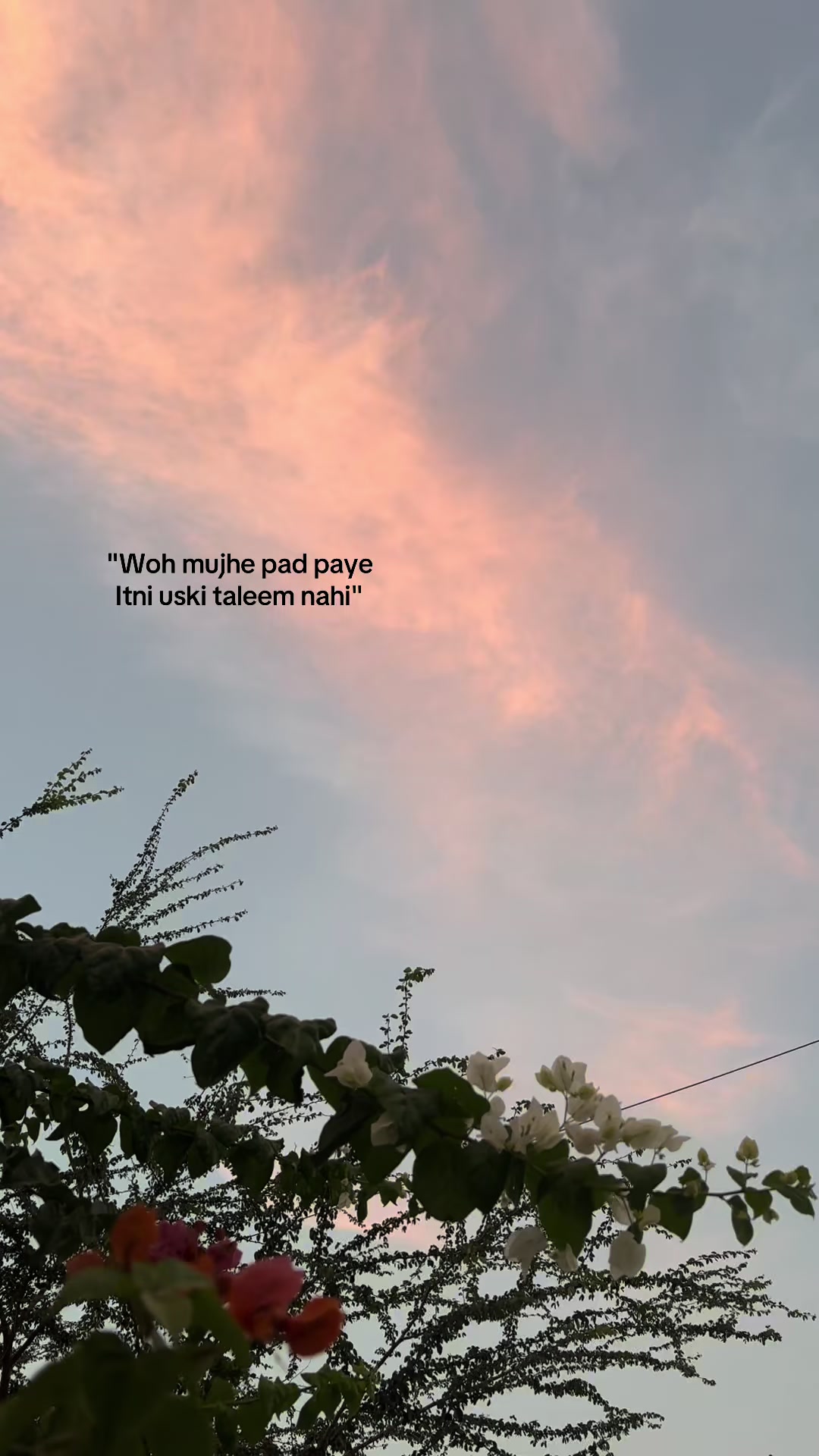 @lai.bax4