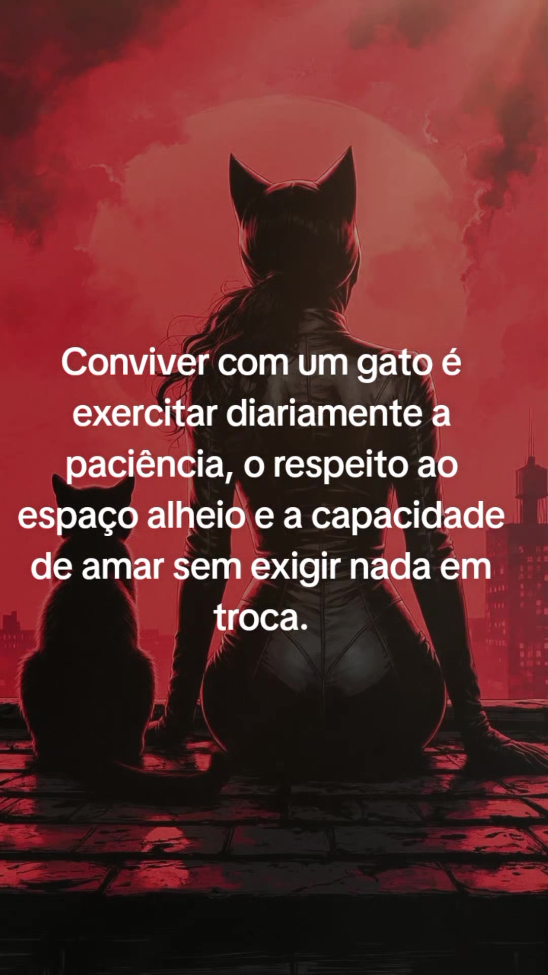@Gato Xadrez