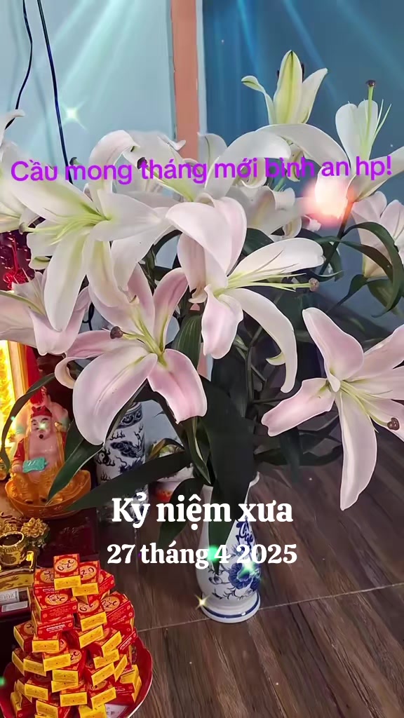 @nguyễn dung