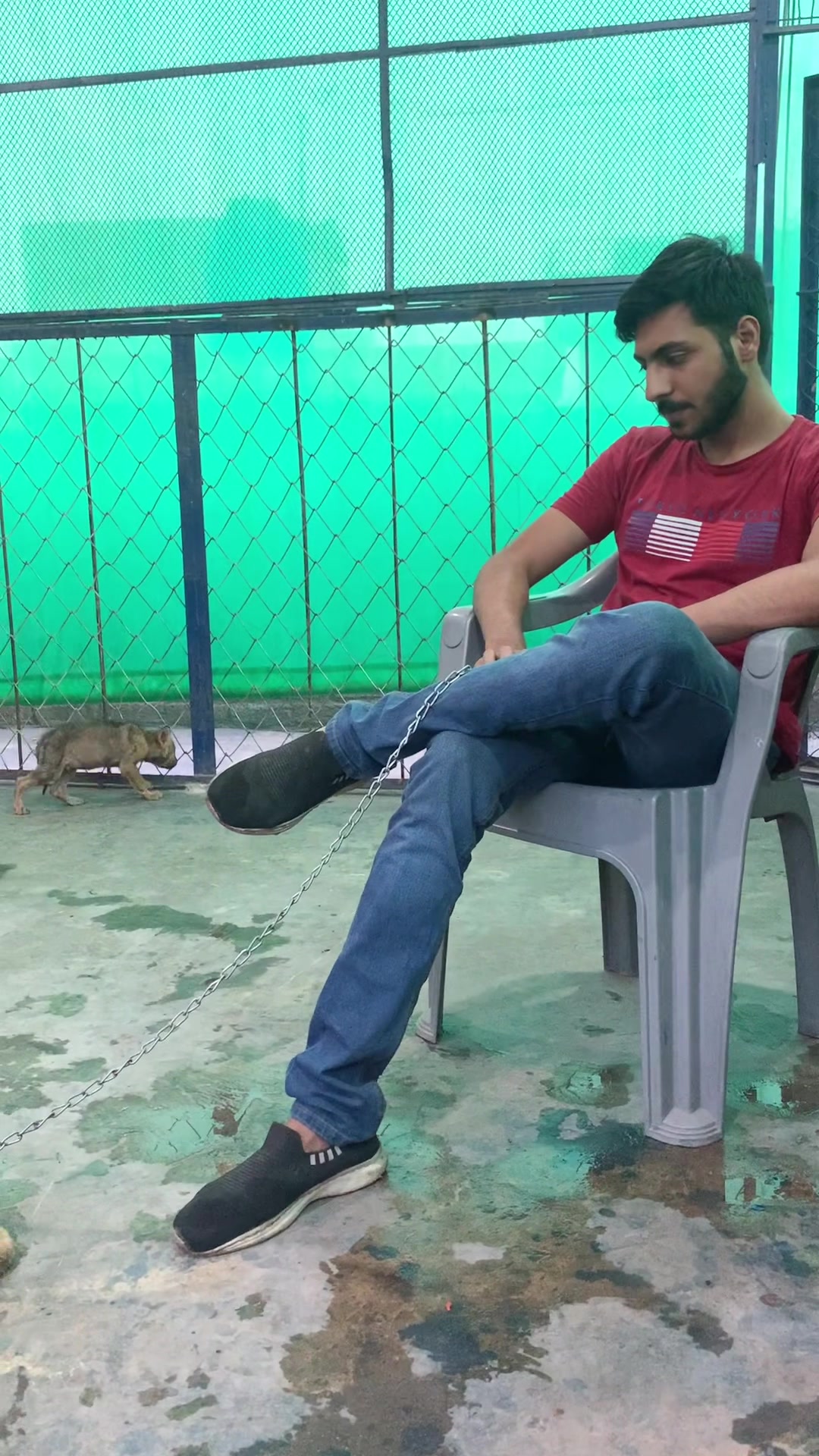 @fawadch8856