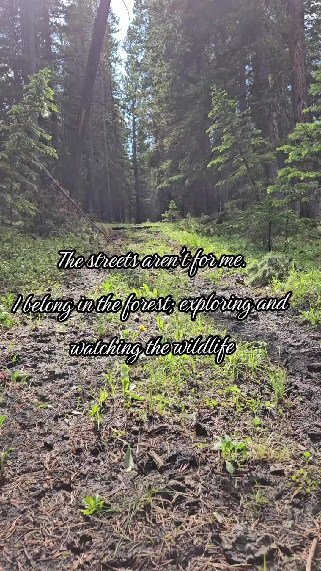 @brookemayauthor