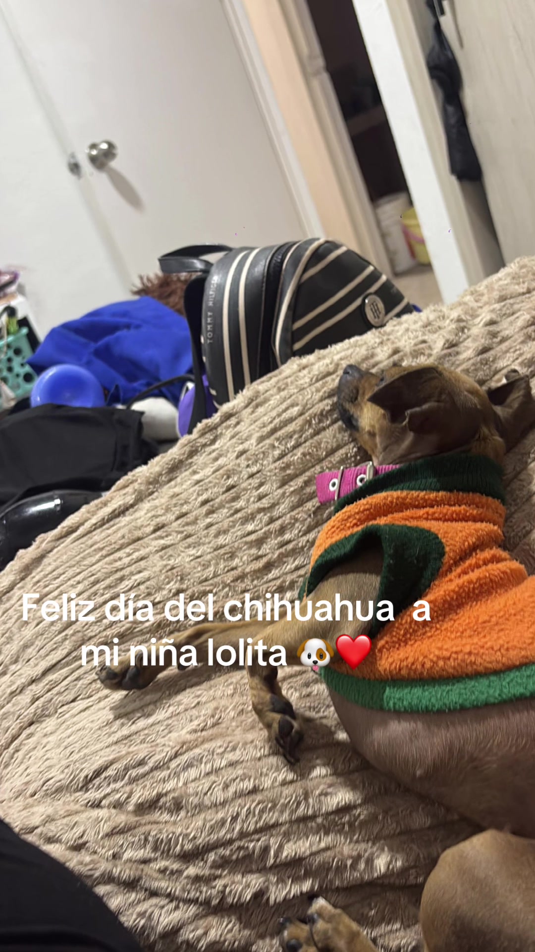 @Laharmintton🏳️&zwj;⚧️💗