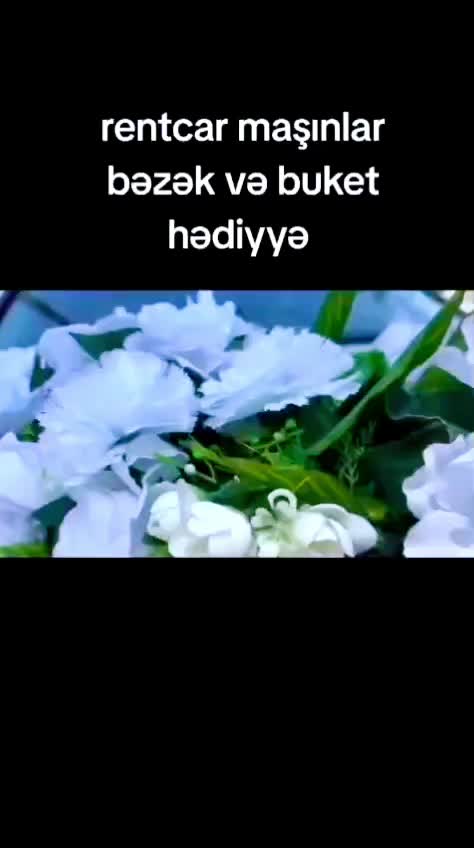 @Sirvan_toy_masinlari