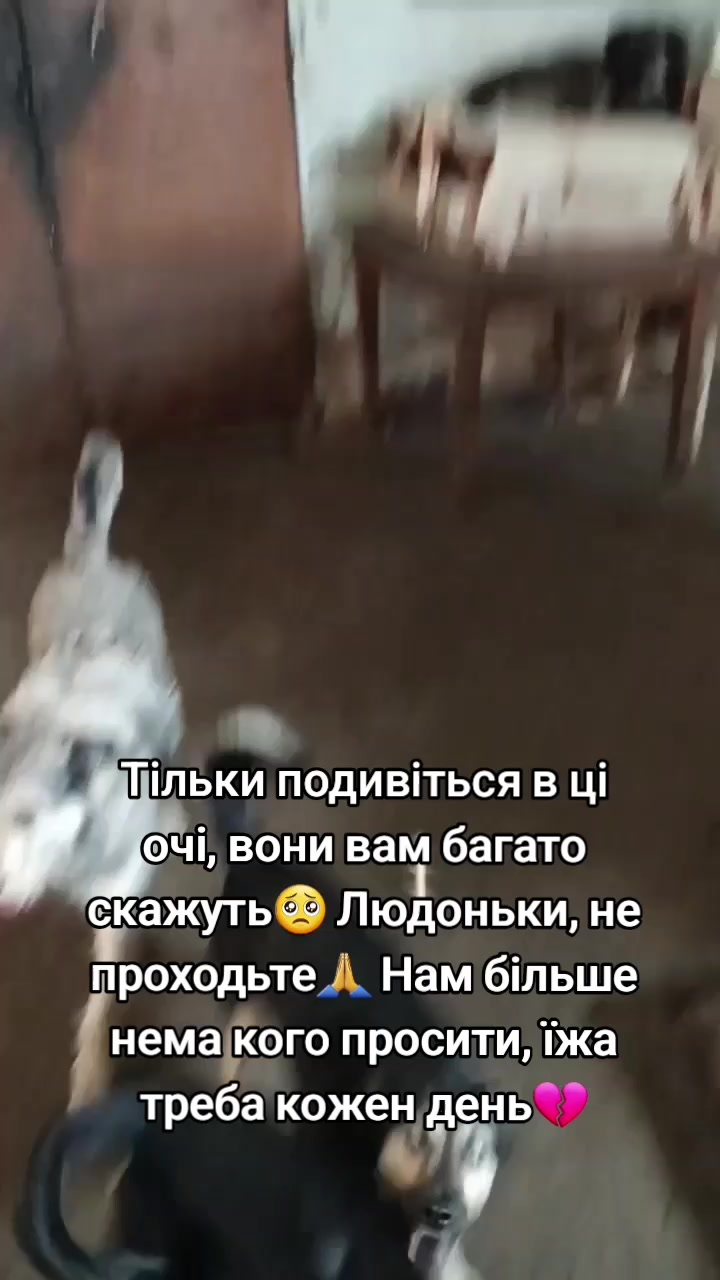 @tvarinkidobra
