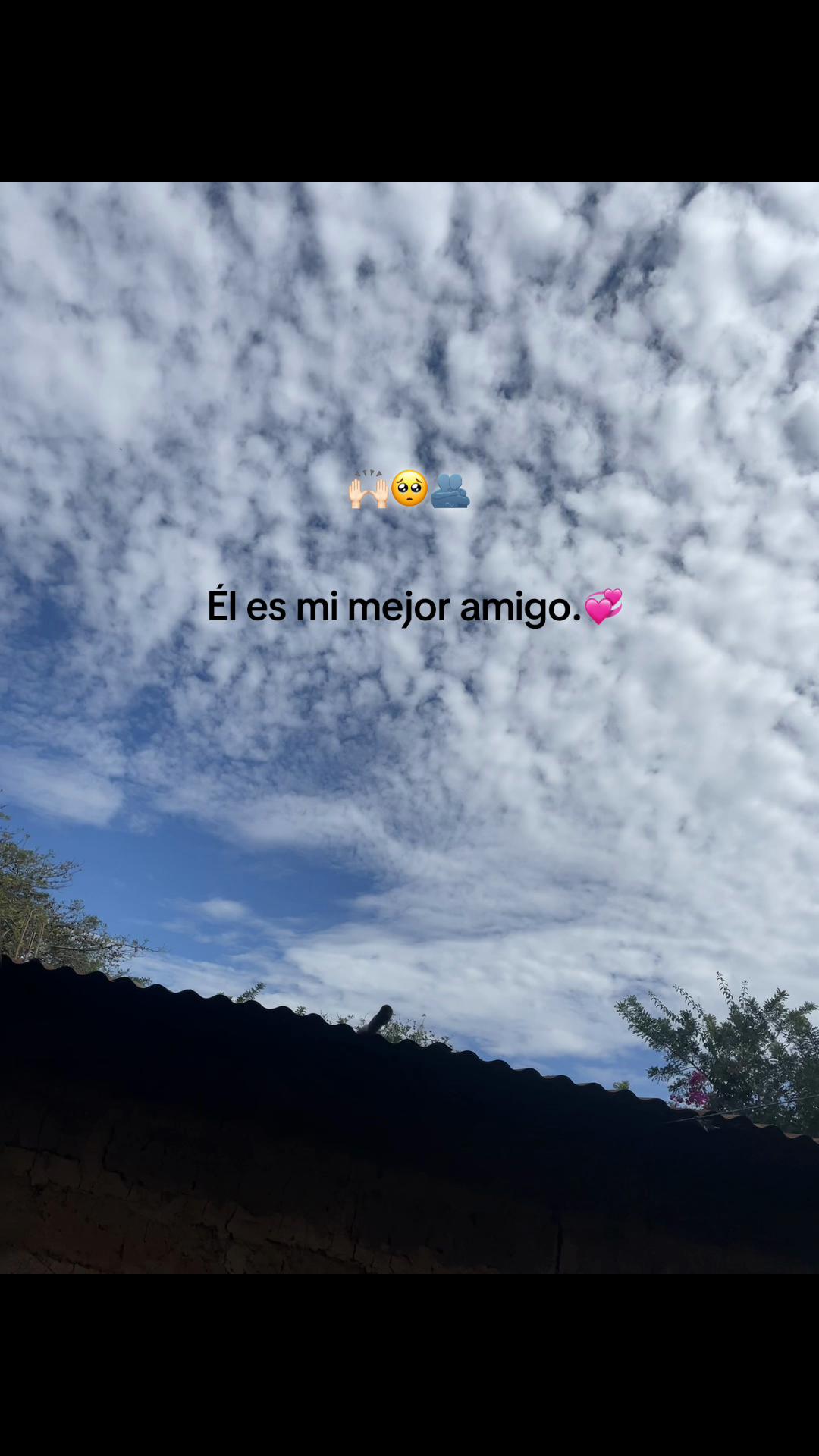 @🥀vane🪫