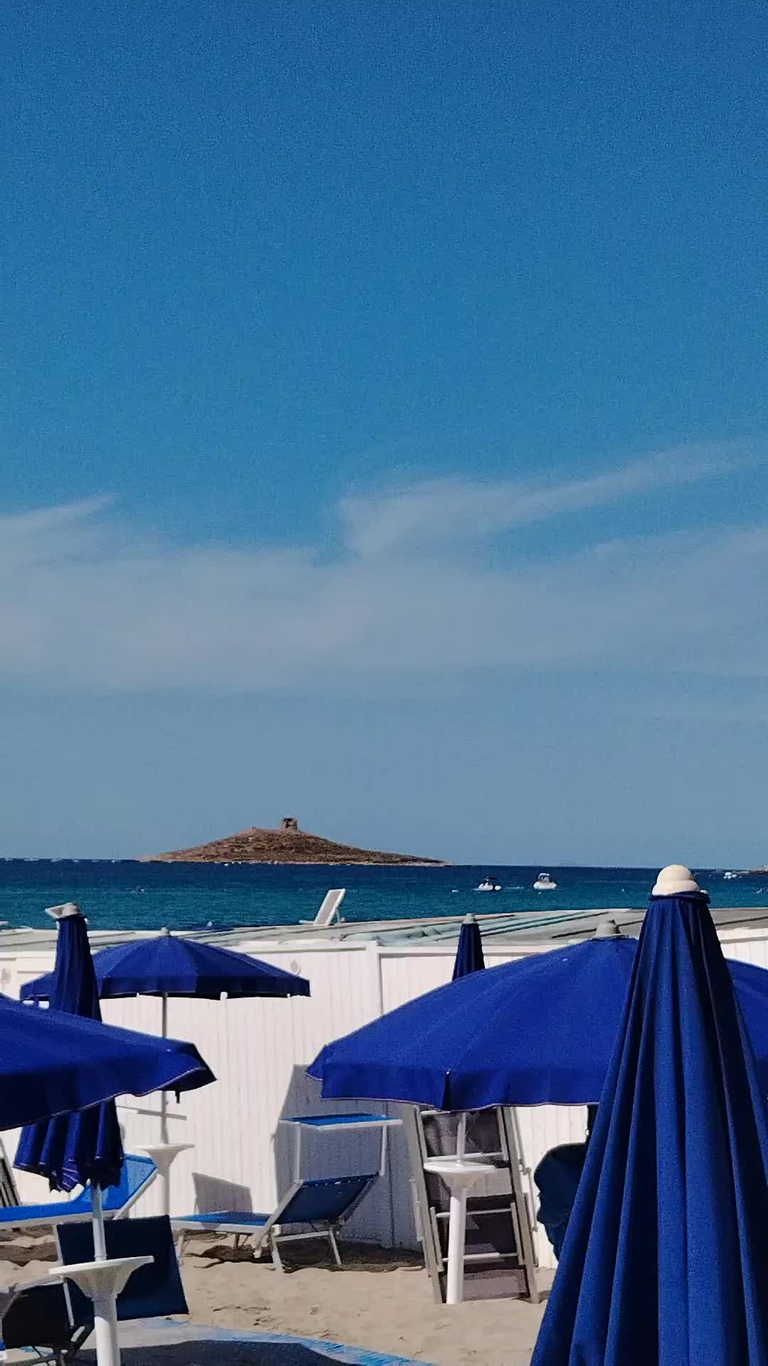@Vincenza cafarelli