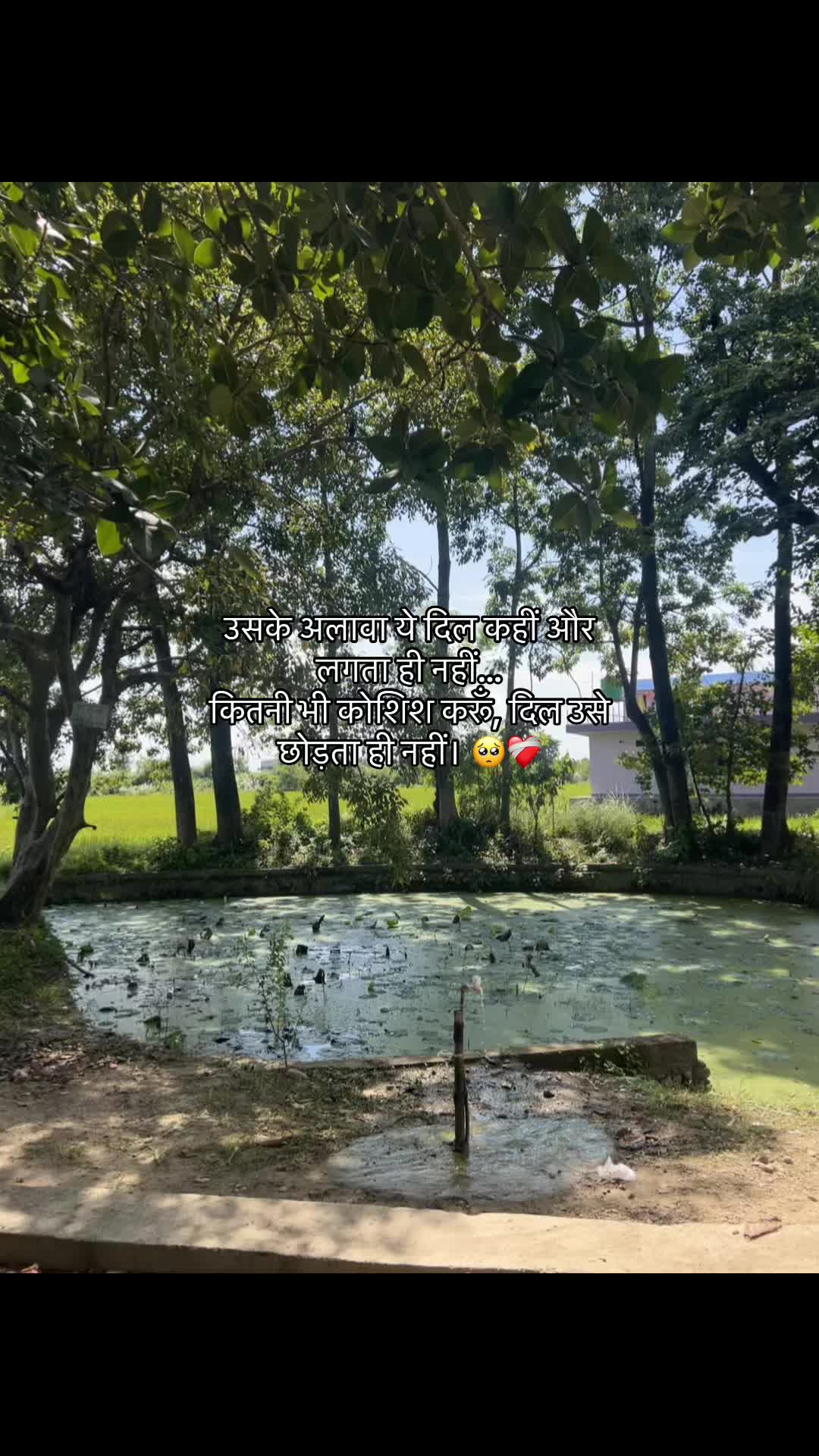 @Dee Pak