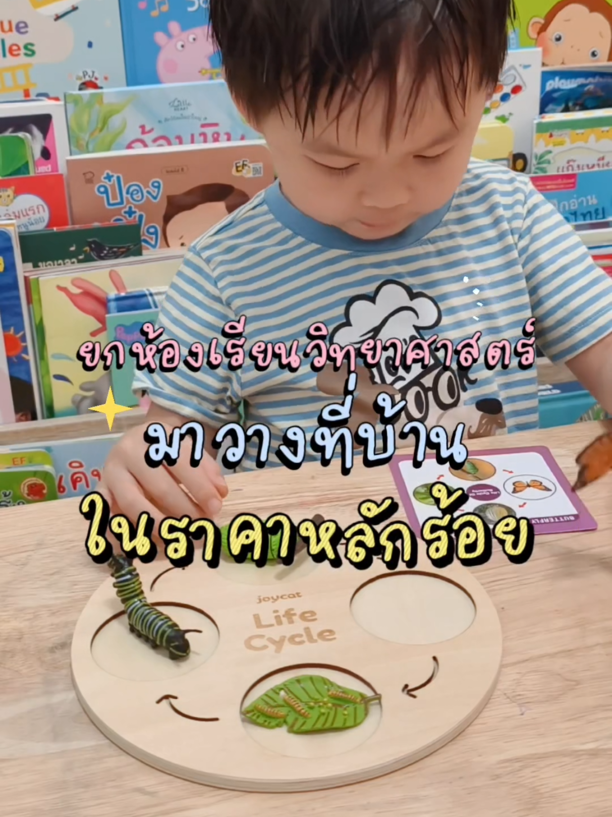 @PJ NJ Family