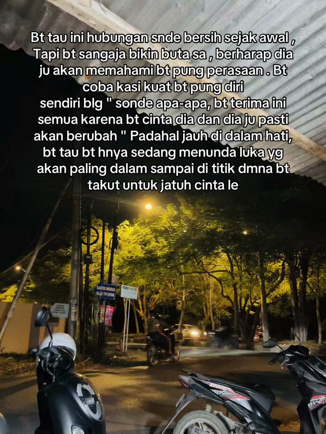 @manleosdl