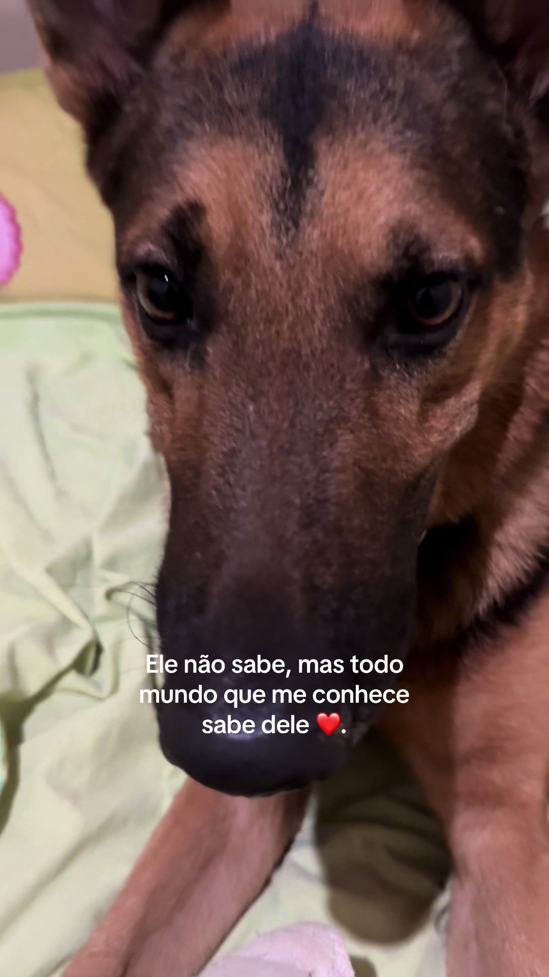 @Brenda Barreto