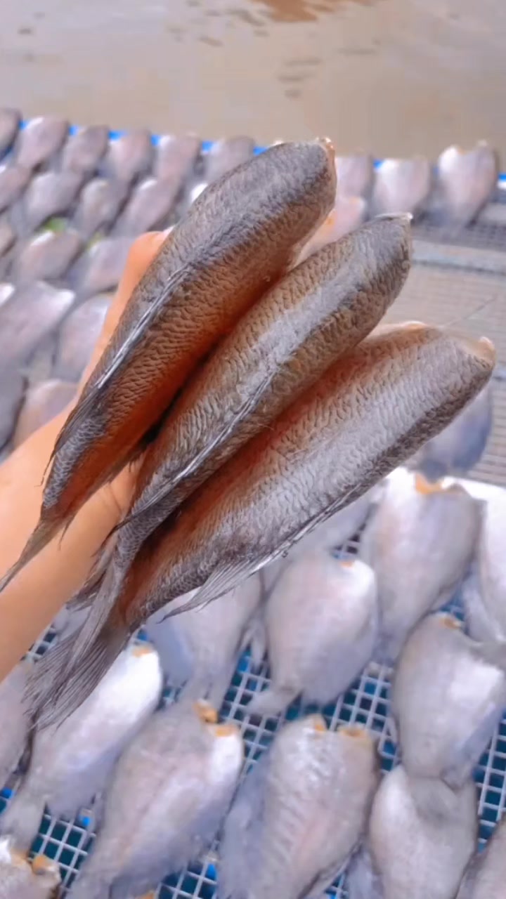 @FB:Quốc Kh&aacute;nh