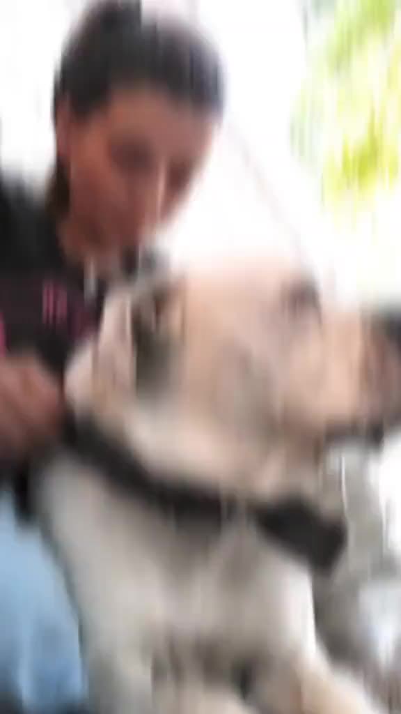 @Irina