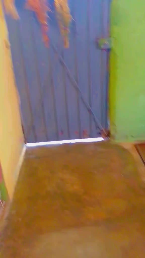 @Wily_trex_Tiktok