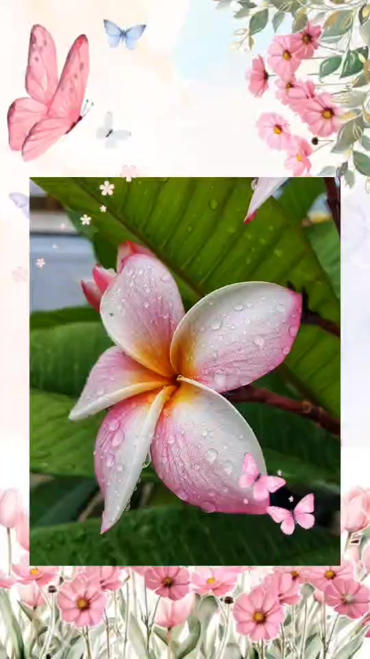 @นาถวัฒน์ เฟื่องวัฒนพนิช