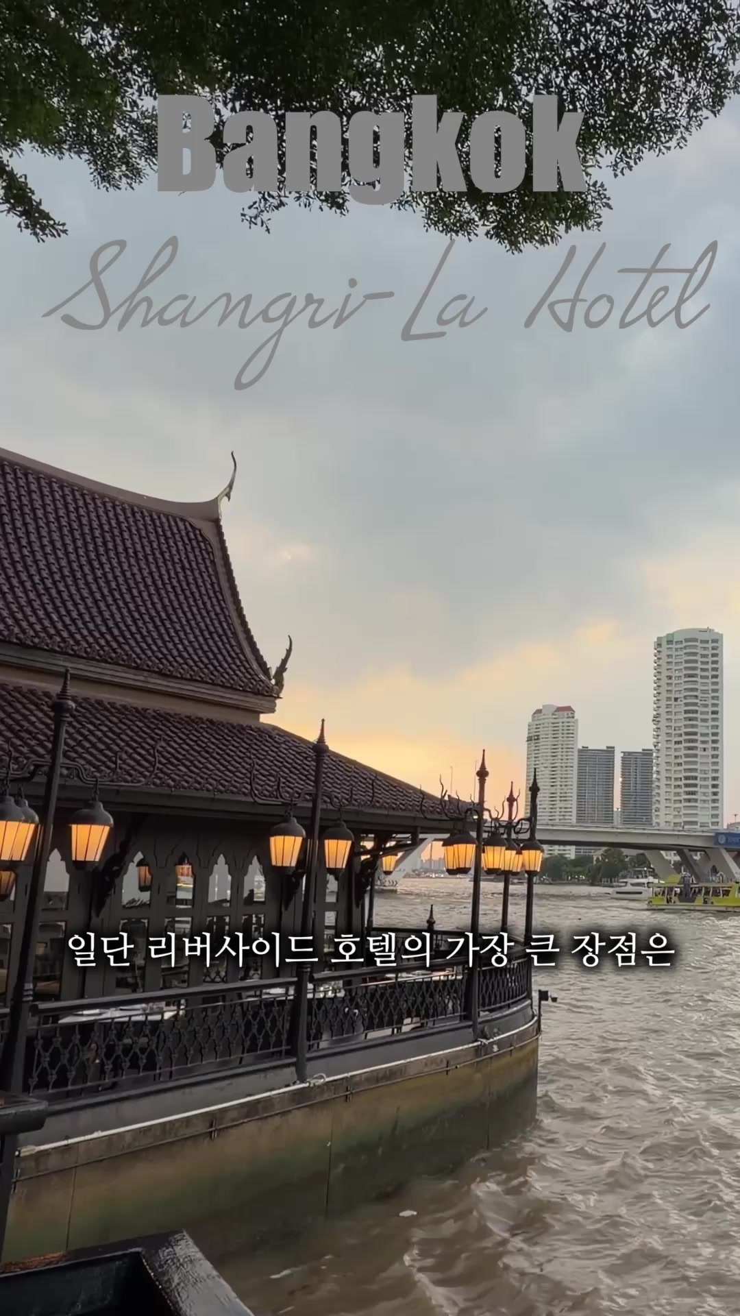 @에스티라이프 St life