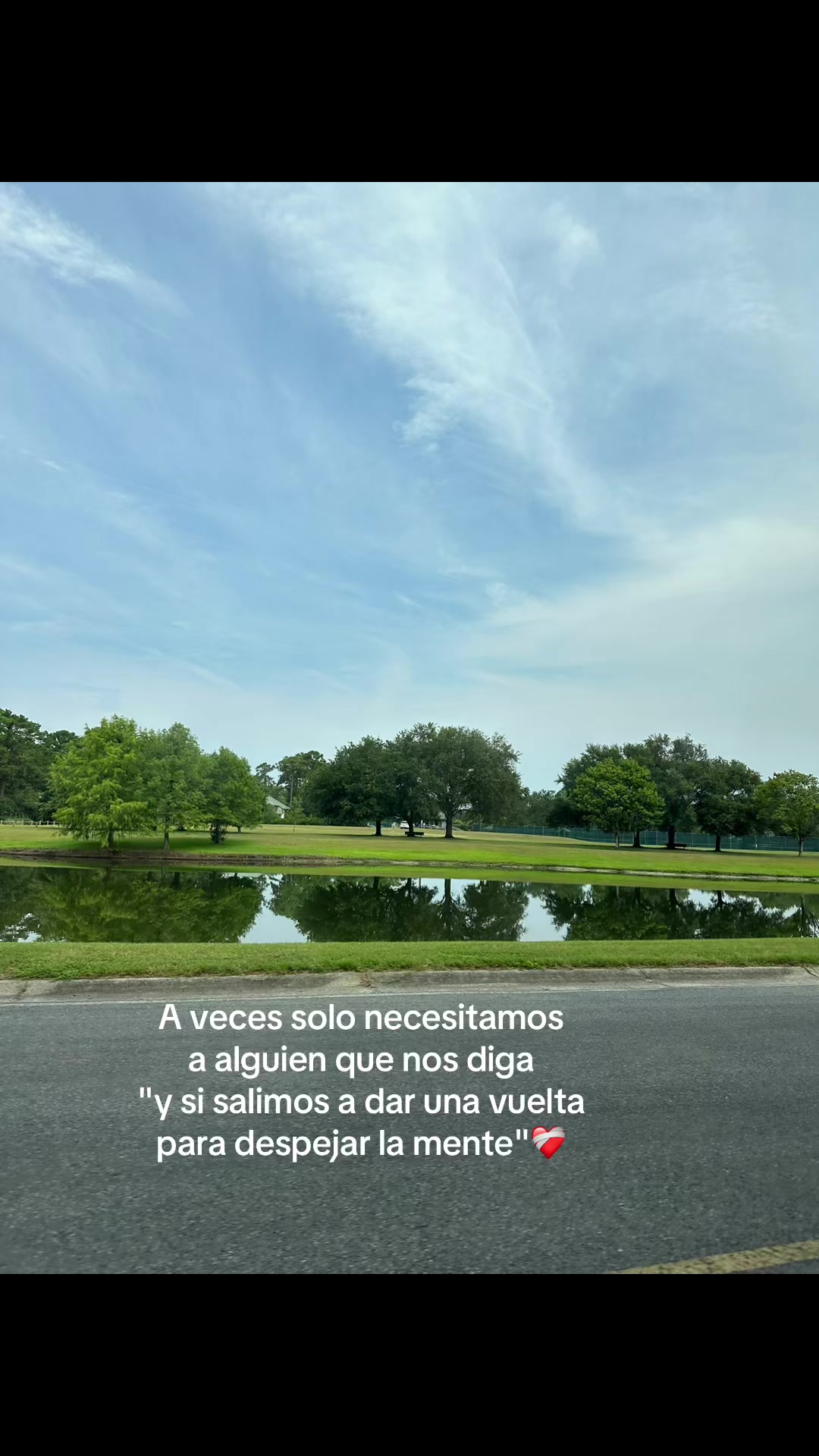 @sofia felix