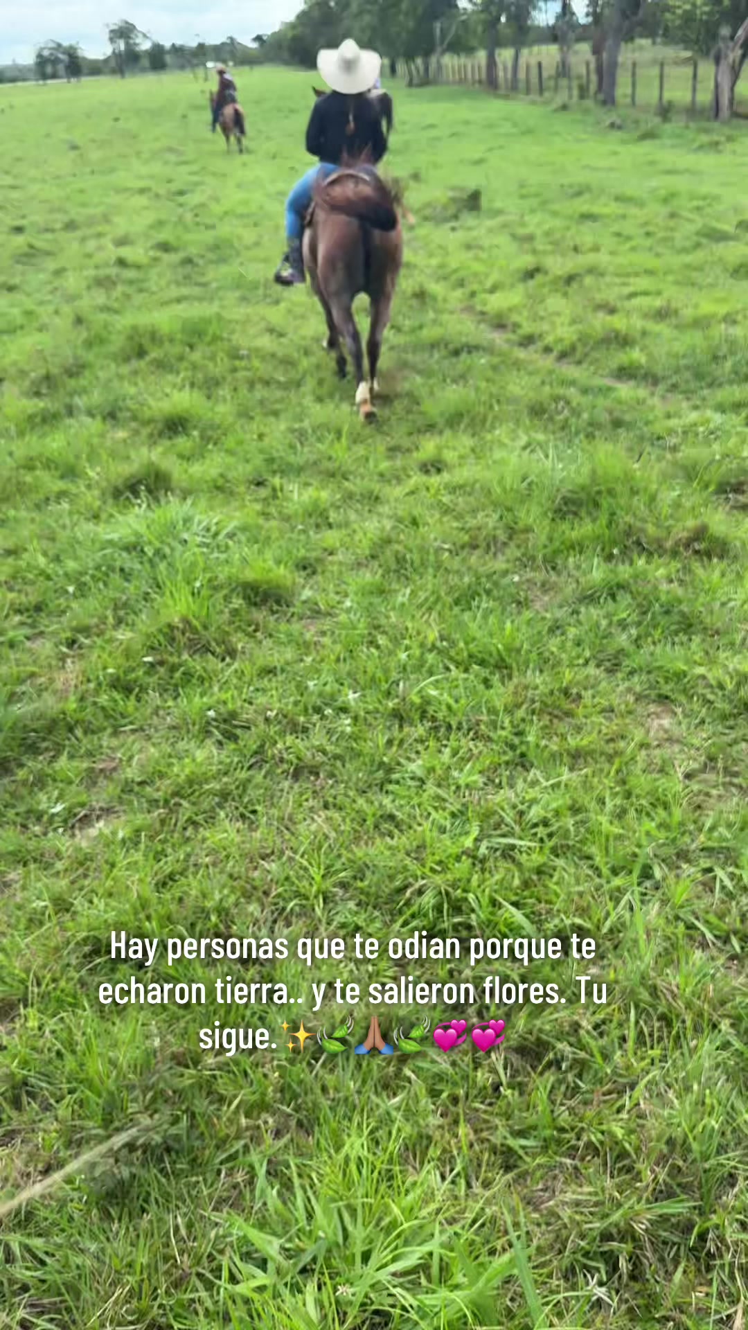 @🍃🐴👑🎶 CASANARE🍃🌷✨