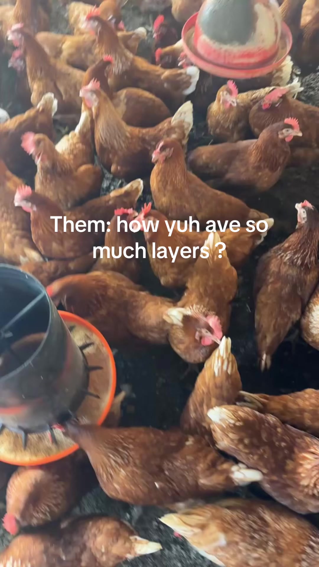 @Eggs-actly