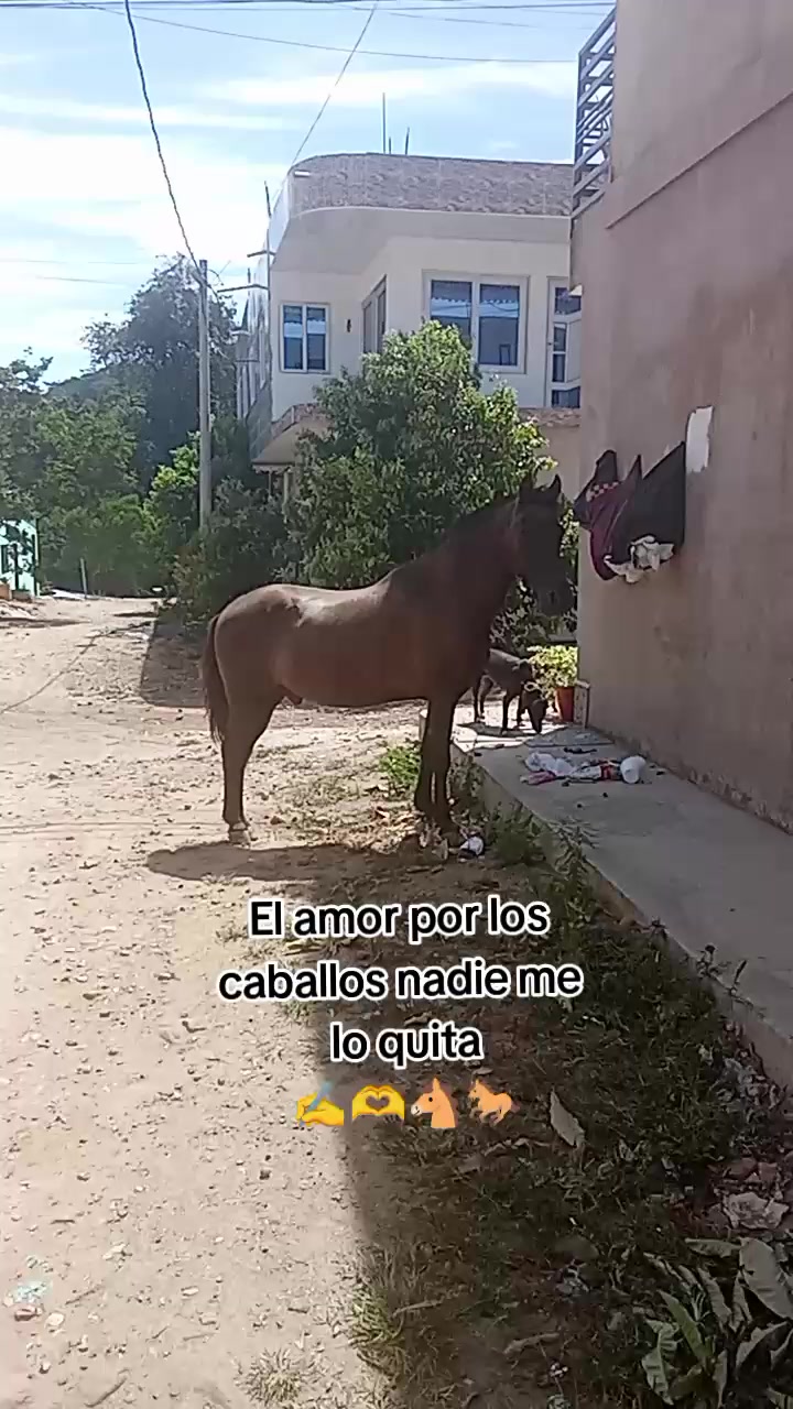 @La flaquita Garc&iacute;a 🍒
