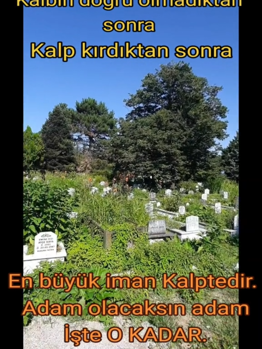 @Umut677✨️