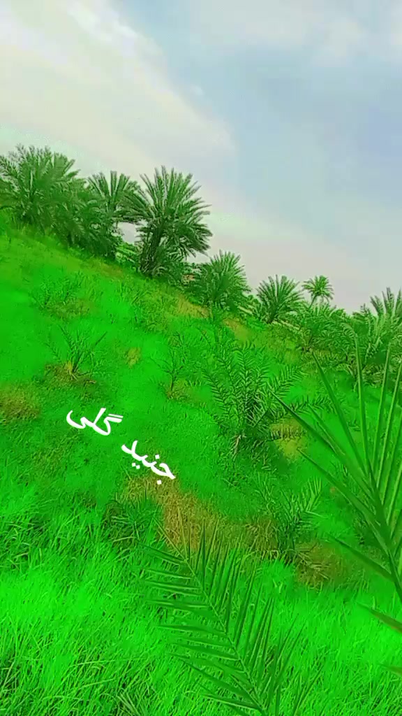 @(جنـــــید خــــانـــی)