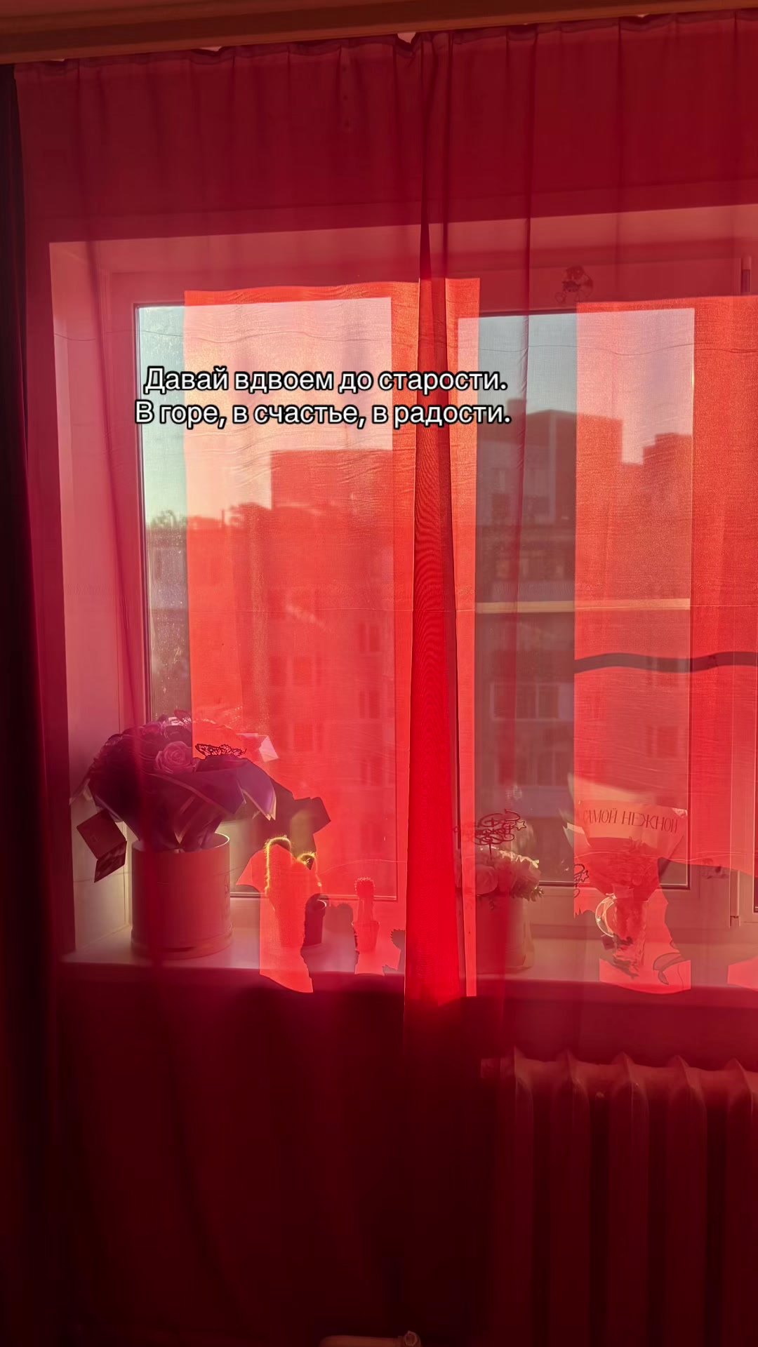@ᴏʙʀᴇᴄʜʏᴏɴɴʏ sʀᴀᴢʜᴀᴛsʏᴀ
