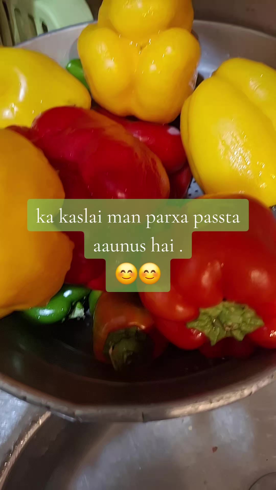 @Risha Gurung🫶🧿