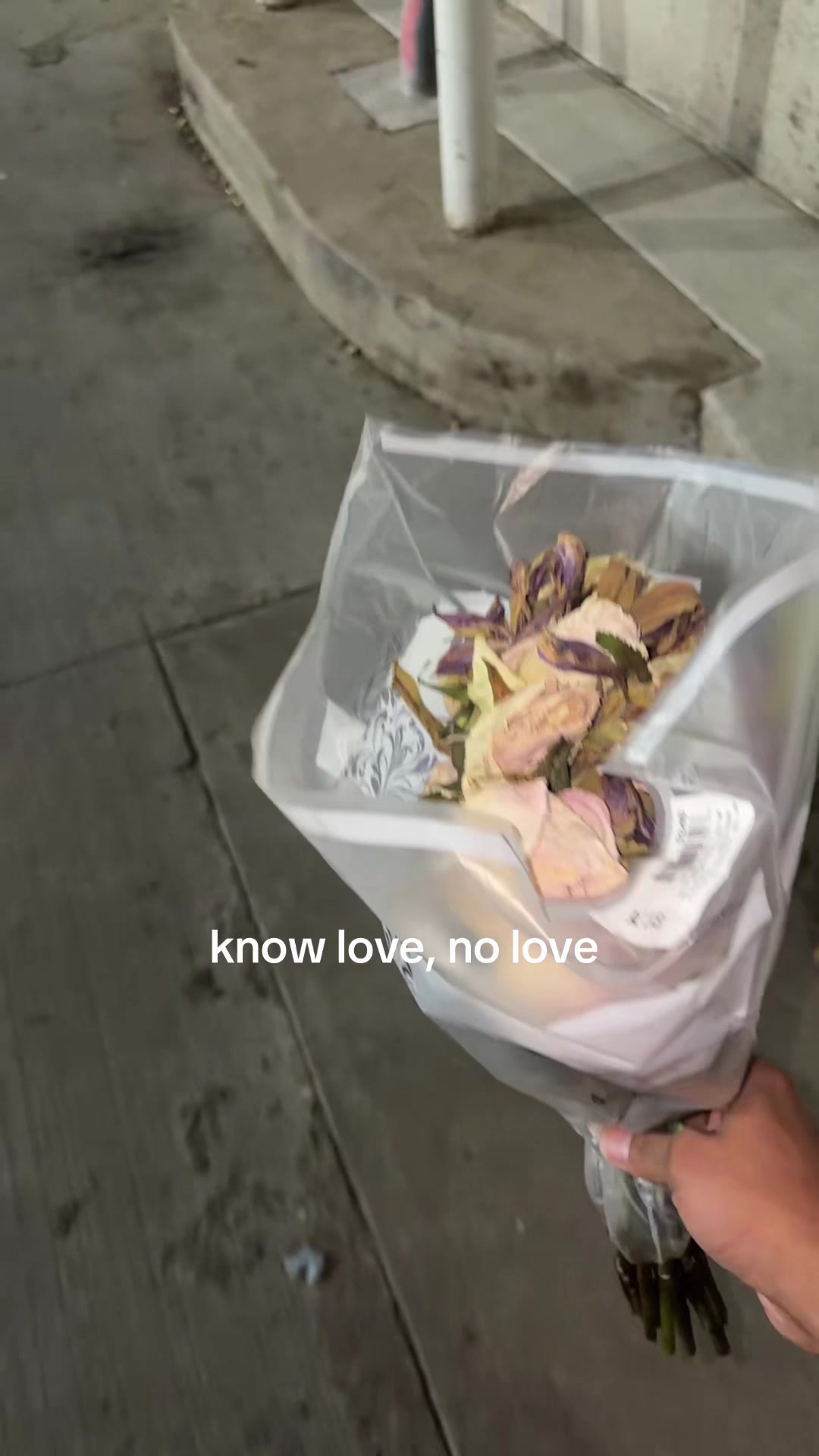 @evert silva